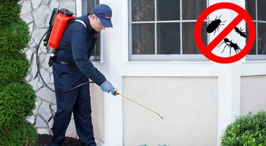 Zeytinalanı Akrep İlaçlama böcek ilaçlama ve haşere kontrolü — ilaclama-tr.com
